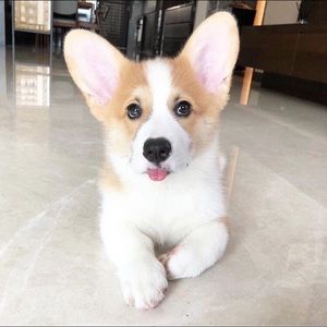 Meet your Posher, Casey james